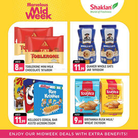 Shaklan catalogue Page 4