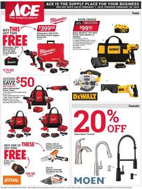 Ace Hardware Weekly Ad Page 1