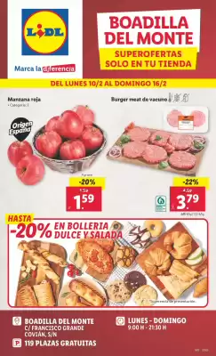 Folleto Lidl (válido hasta el 16-02)