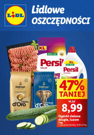 Lidl gazetka tydzień 6 Strona 1