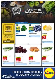 Lidl gazetka Strona 4