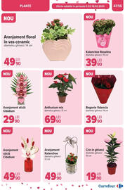 Catalog Carrefour săptămâna 6 Pagină 49