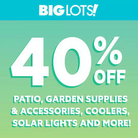 Big Lots Weekly Ad Page 2