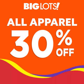 Big Lots Weekly Ad Page 5