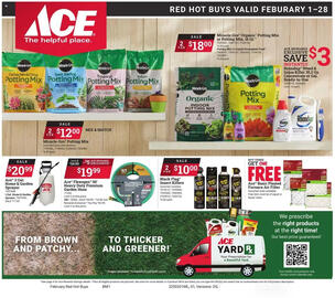 Ace Hardware Weekly Ad Page 1