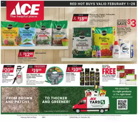 Ace Hardware Weekly Ad (valid until 28-02)