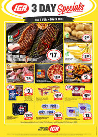 IGA catalogue Page 1