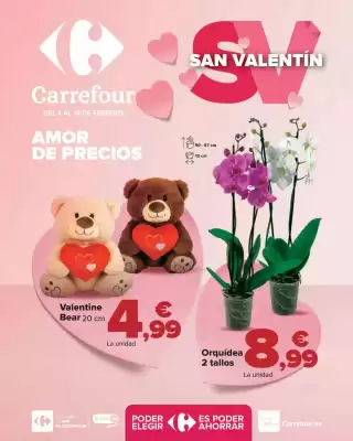 Folleto Carrefour (válido hasta el 14-02)