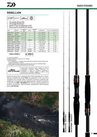 Volantino Daiwa Pagina 101