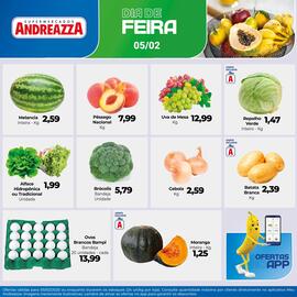 Catálogo Supermercados Andreazza Página 5