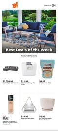 Big Lots Weekly Ad week 6 Page 1