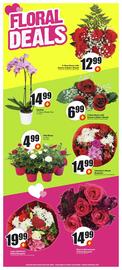 FreshCo flyer week 6 Page 5