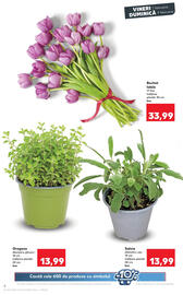 Catalog Kaufland Pagină 6