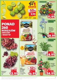 Kaufland gazetka tydzień 6 Strona 11