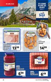 Catalog Lidl săptămâna 7 Pagină 22