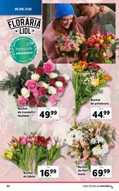 Catalog Lidl săptămâna 7 Pagină 60