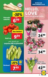 Catalog Lidl săptămâna 7 Pagină 71