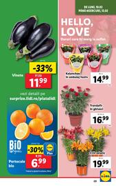 Catalog Lidl săptămâna 7 Pagină 9