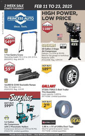 Princess Auto flyer Page 1