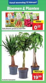 Lidl folder week 7 Pagina 23