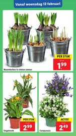 Lidl folder week 7 Pagina 24