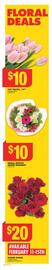 No Frills flyer week 6 Page 6