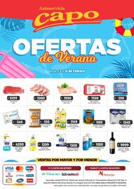 Catálogo Autoservicio Capo | Ofertas de Verano Página 1