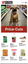 Tractor Supply Company Weekly Ad week 6 Page 1