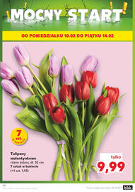 Kaufland gazetka tydzień 6 Strona 90