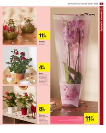 Catalogue Carrefour page 9