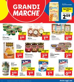 Volantino Lidl settimana 7 Pagina 12