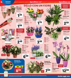 Volantino Lidl settimana 7 Pagina 20