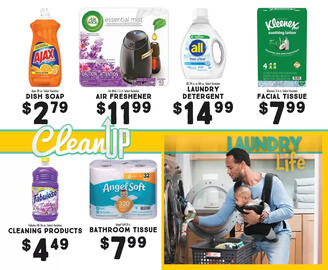 Maceys Weekly Ad Page 10