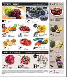 Pavilions Weekly Ad week 6 Page 11