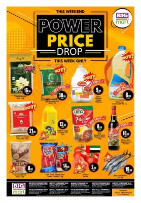 Bigmart catalogue (valid until 9-02)