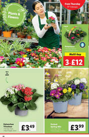 Lidl leaflet week 7 Page 22