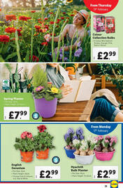 Lidl leaflet week 7 Page 23