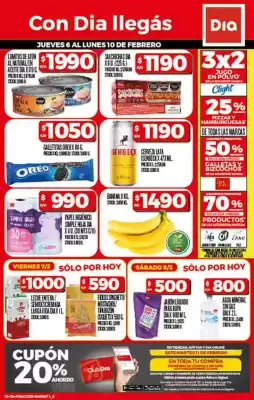 Catálogo Supermercados DIA (válido hasta 10-02)