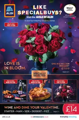 Aldi leaflet (valid until 16-02)