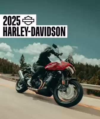 Harley Davidson flyer (valid until 6-02)