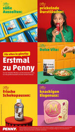 PENNY Prospekt woche 7 Seite 18