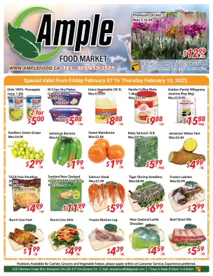 Ample Food Market flyer (valid until 13-02)