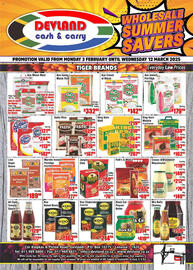 Devland Cash And Carry catalogue Page 1