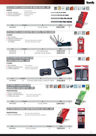 Volantino Einhell Pagina 11