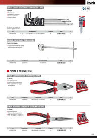 Volantino Einhell Pagina 165