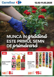 Catalog Carrefour Pagină 1