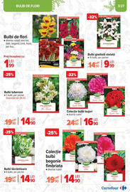 Catalog Carrefour Pagină 3