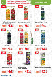 Catalog Carrefour Pagină 6