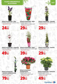 Catalog Carrefour Pagină 9