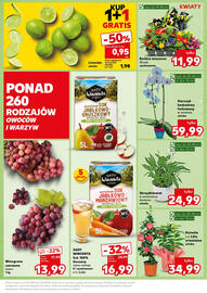 Kaufland gazetka Strona 19